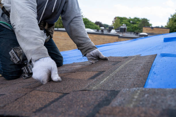 Best Roof Coating and Sealing  in Zion, IL