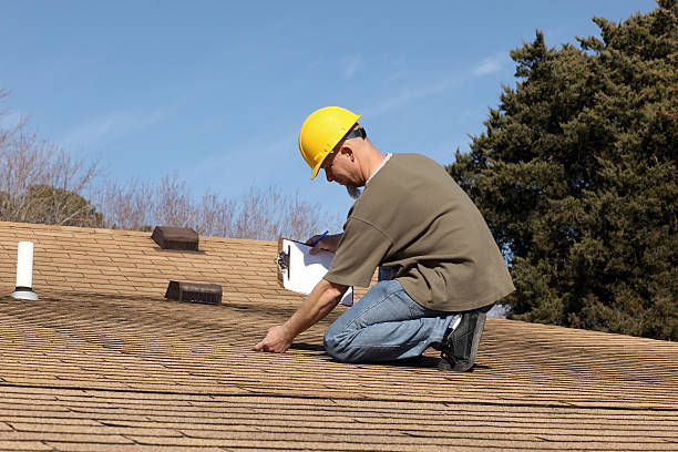 Best Asphalt Shingle Roofing  in Zion, IL